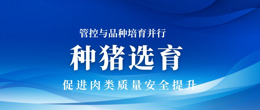 管控与品种培育并行：种猪选育推动肉类质量安全的进步