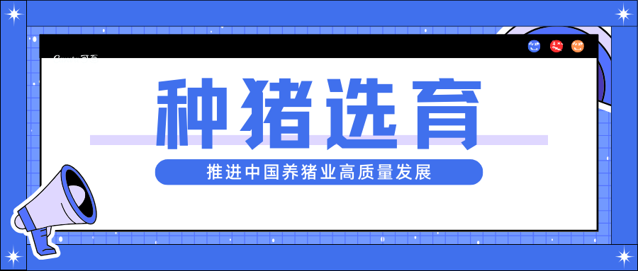 种猪选育：推进中国养猪业高质量发展