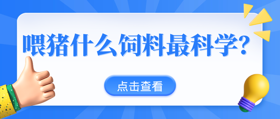 干料饲喂、粥料饲喂、液态饲喂，不同饲喂模式的效益成本分析